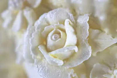Rose aus Buttercreme spritzen