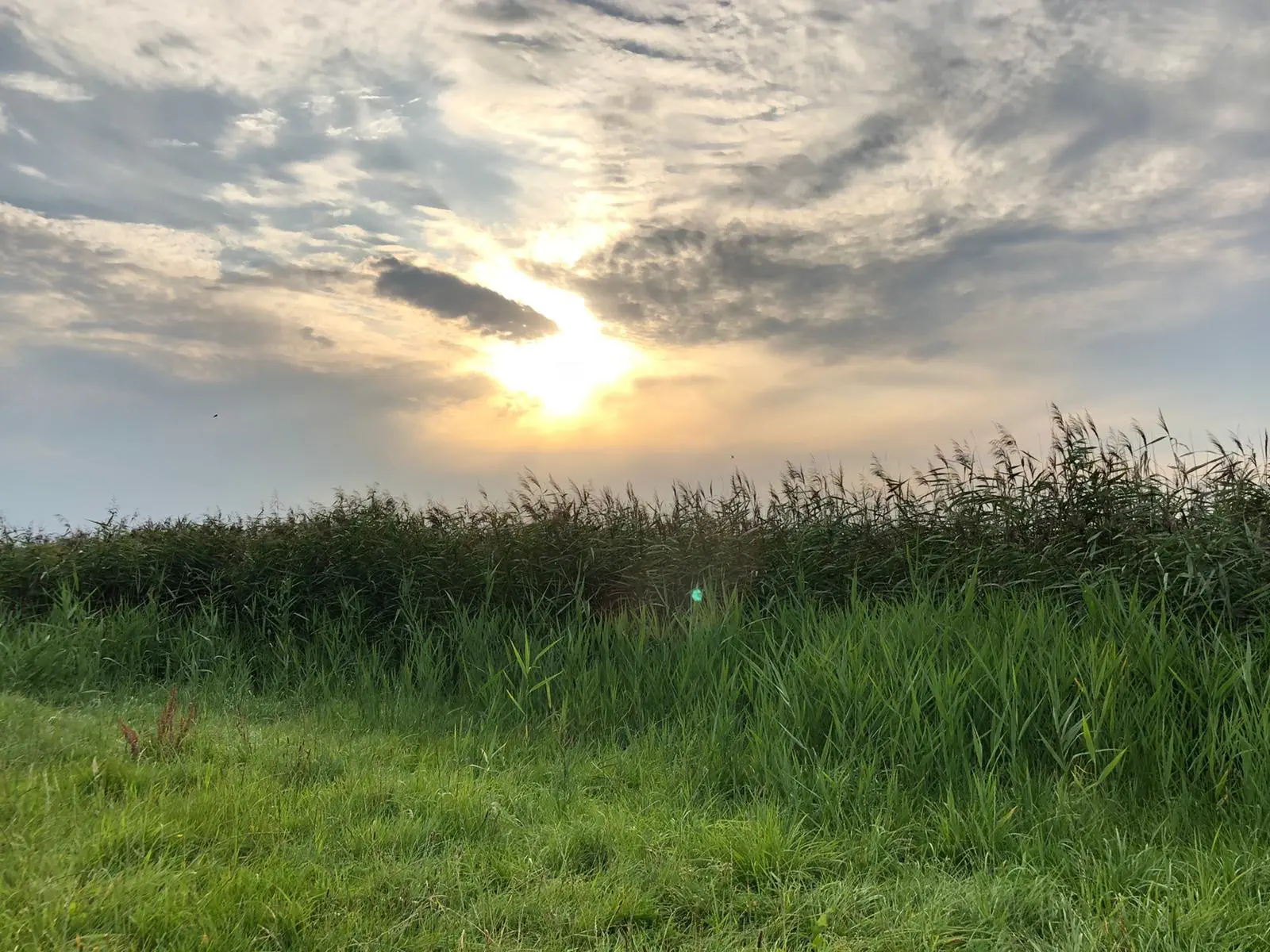 Dänemark-Rundreise im Sommer 2020: Stellplatz in Lunden an der Eider