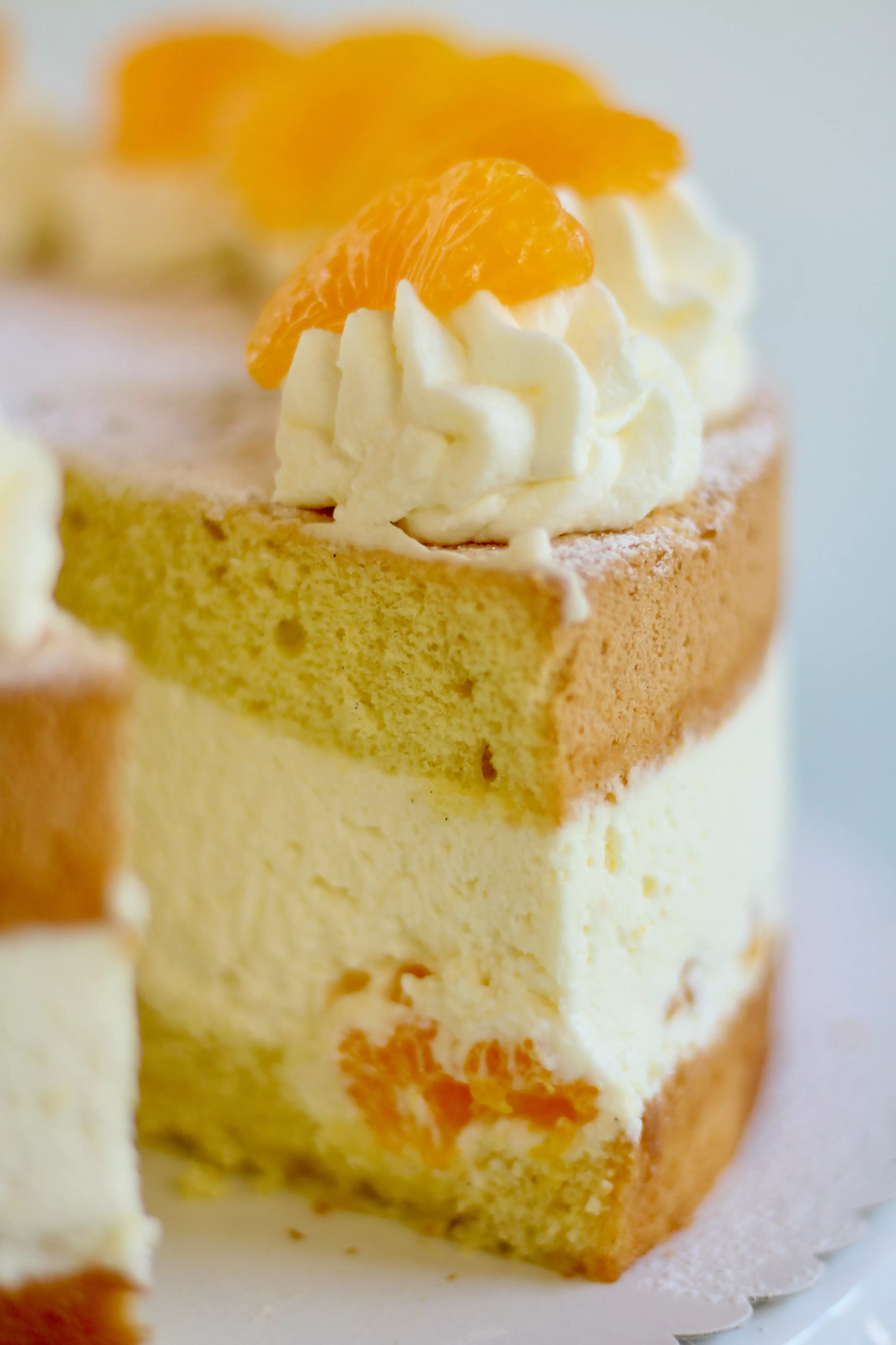 Die klassische Käse-Sahne-Torte mit Mandarinen einfach selber backen! 💝Rezept und Video von SUGARPRINCESS 💝